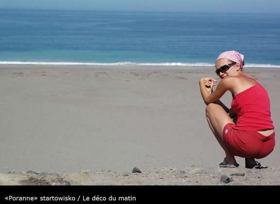 DSC 2234 (1130 visites) DSC 2234