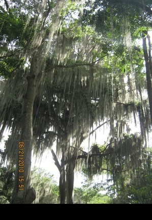 IMG 3145 (1370 visites) IMG 3145