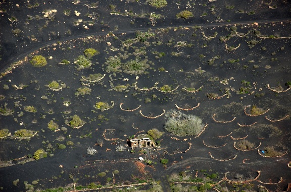 DSC 4594 (1202 visites) DSC 4594